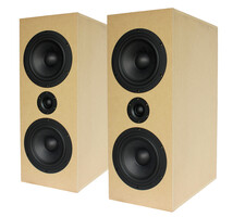 Criton 2TD-X MTM Speaker Kit