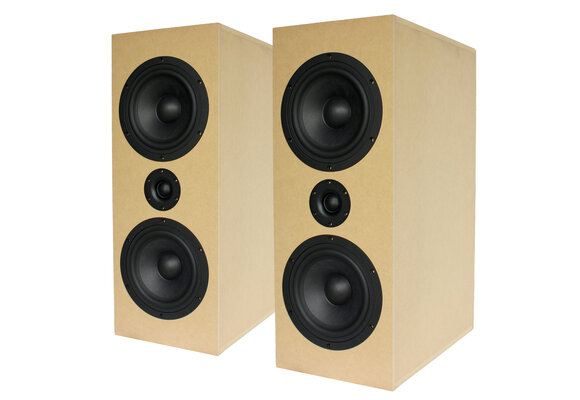 Criton 2TD-X MTM Speaker Kit