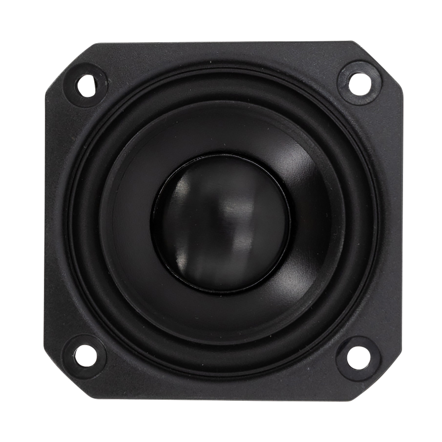 PLS-65F25AL04-04 Full-range Woofer