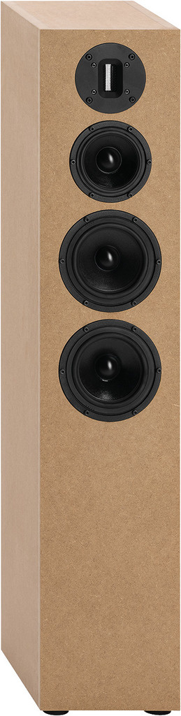 DIVA-SIMONE 3-Way Tower Speaker Kit Autocostruzione