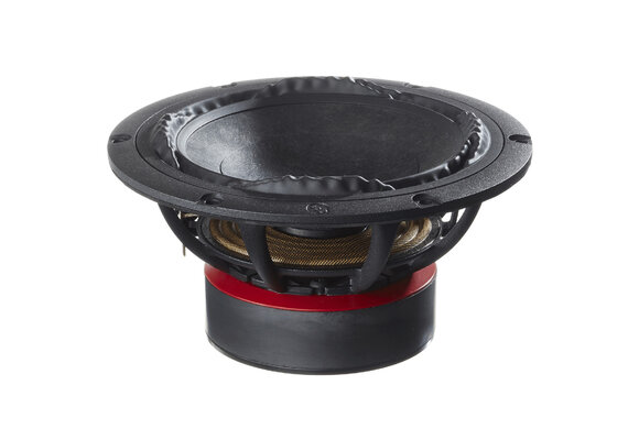 PTT6.5M08-NFA-01 Woofer a Gamma Media