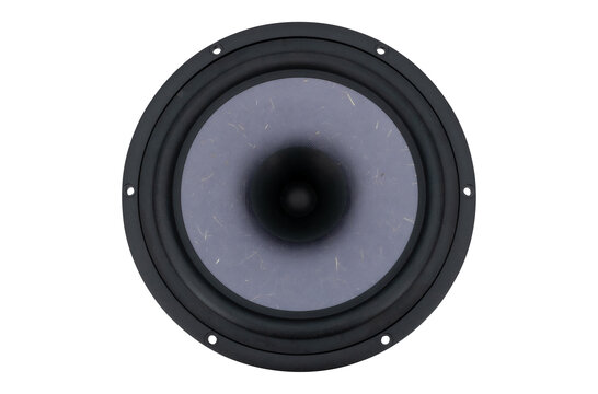 Prestige FA22RCZ - H1597-08 Woofer a Gamma Completa