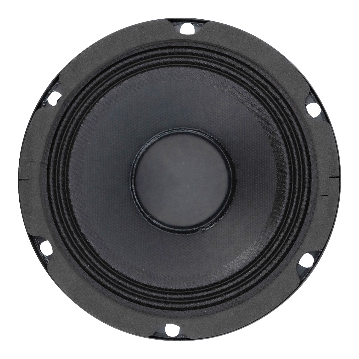 PAM 13 5'' Bass-Midwoofer