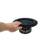 TIW 250 XS Subwoofer