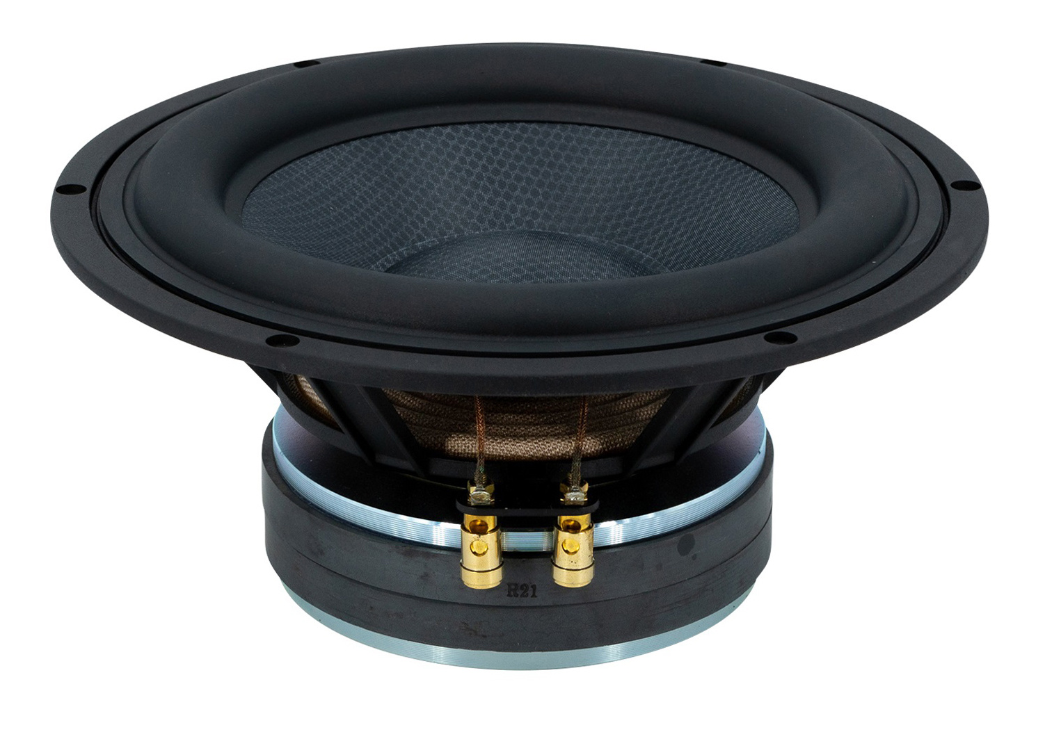 TIW 250 XS Subwoofer Tieftöner