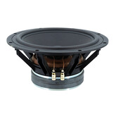TIW 300 Subwoofer