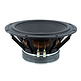TIW 300 Subwoofer