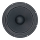 TIW 300 Subwoofer Tieftöner