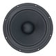 TIW 300 Subwoofer
