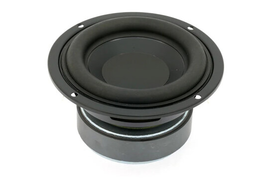 W 100 X Woofer Medio-Bassi