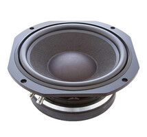 B25001 Subwoofer