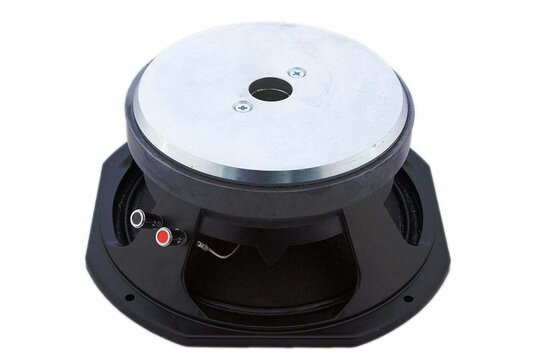 BM25004 Woofer Medio-Bassi