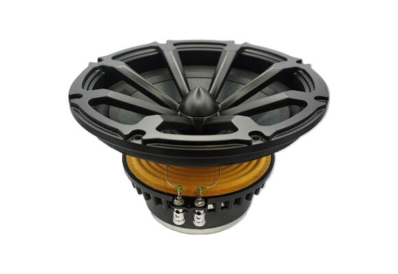 RV2501 Radial Subwoofer