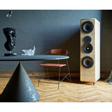 QTC SPIKES DISC Ø25mm 4 Stück Satz Schwarz