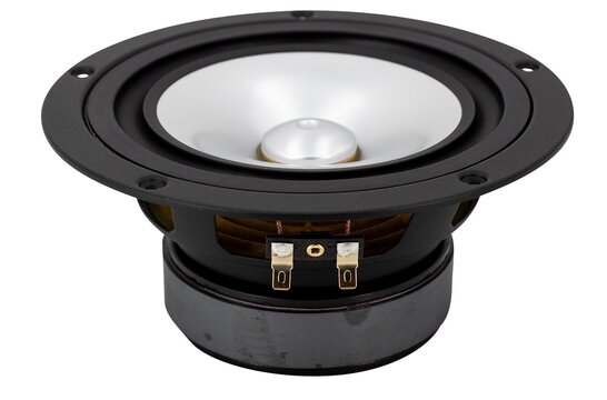 CHN-110 Silver Woofer a Gamma Completa