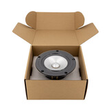 CHN-110 Silver Full-range Woofer