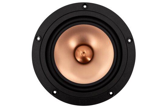 PLUVIA-11 Gold Full-range Woofer