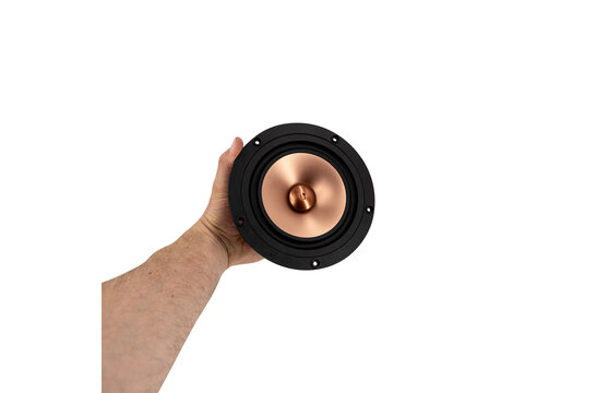 PLUVIA-11 Gold Full-range Woofer