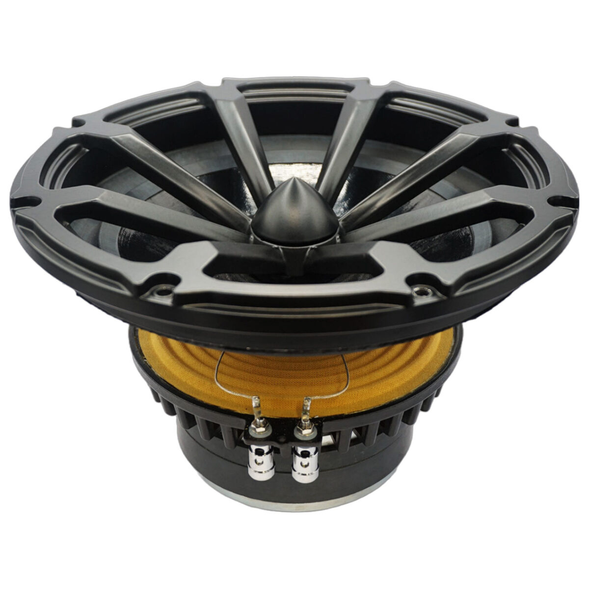 RV2550 Subwoofer
