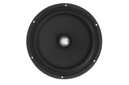 Excel W22NY001 - E0045-8S Woofer Medio-Bassi