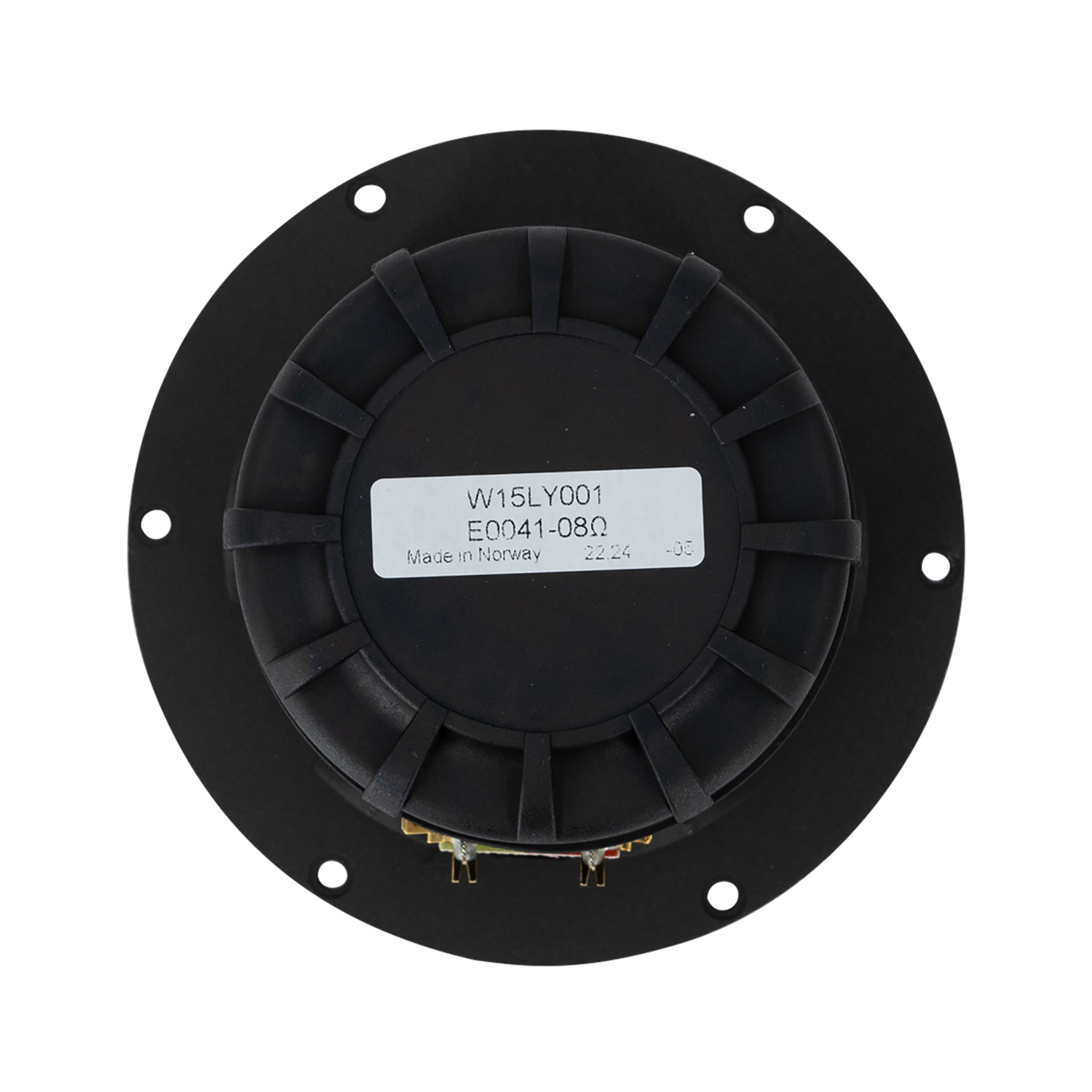 Excel W15LY001 - E0041-08S 5.5" Paper Cone Woofer