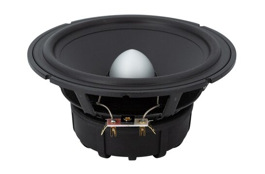 Lotus RW165/1 - L0017-04S Woofer