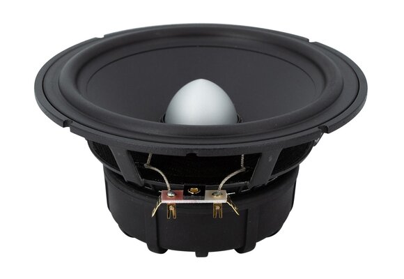 Lotus RW165/1 - L0017-04S Woofer