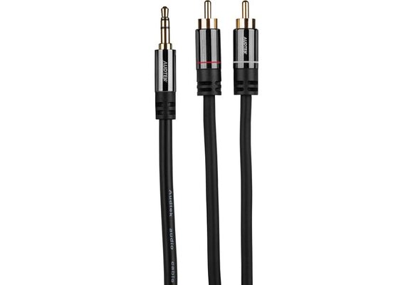 Y35SM-12 2 RCA Male naar 3.5mm Stereo Kabel