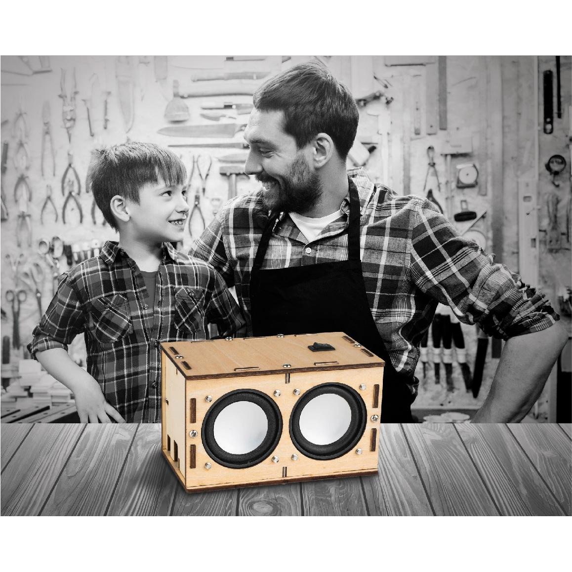 STEM Bluetooth 5.0 Speaker Kit with Wooden Enclosure and 2 x 5W Amp Board