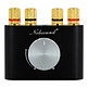 NS-01G PRO stereo versterker voor Bass Shakers