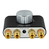 NS-01G PRO stereo versterker voor Bass Shakers