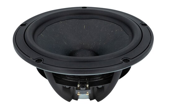 NE265W-08 Subwoofer