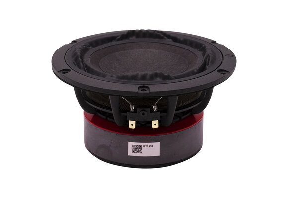 PTT5.25X04-NFA-01 Woofer a Gamma Media
