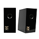 Ara TX Black Bookshelf Speaker Kit with TeXtreme drivers