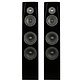 SASANDU Black High-Gloss Tower Speaker Kit with TeXtreme drivers