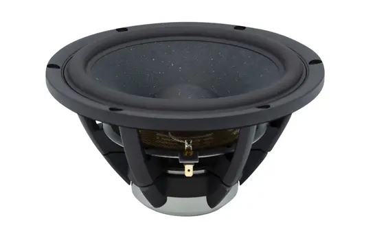 SASANDU Black High-Gloss Tower Speaker Kit with TeXtreme drivers