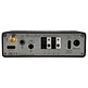BerryBak BLV-D1 Amplifier with Bluetooth