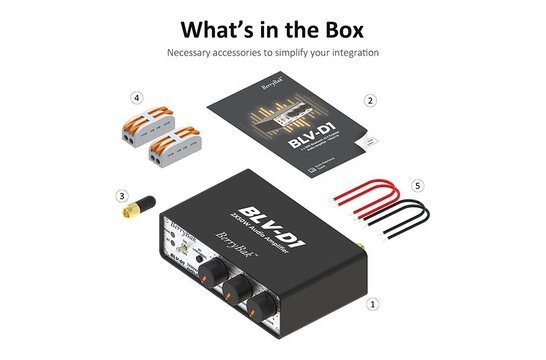 BerryBak BLV-D1 Amplifier with Bluetooth