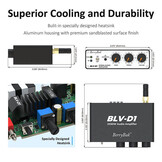 BerryBak BLV-D1 Amplifier with Bluetooth