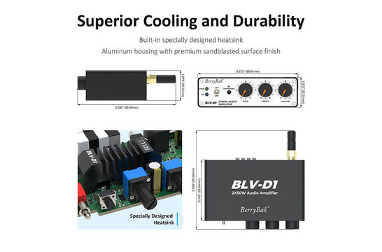 BerryBak BLV-D1 Amplifier with Bluetooth