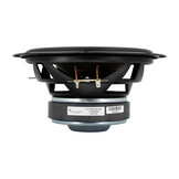 SLS-P830667 Subwoofer Tieftöner