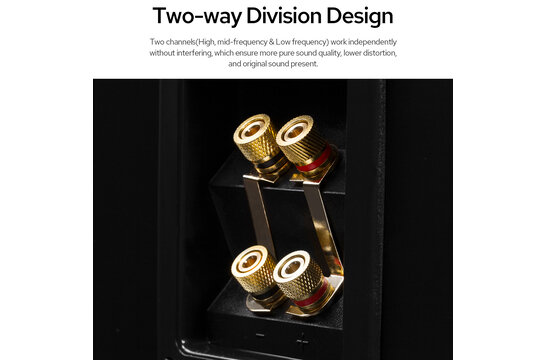 Swan D3.2MKIII Standlautsprecher