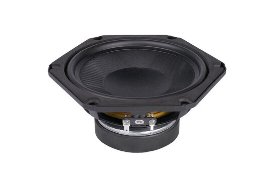 6FE100-8F 6" Tiefmitteltöner 8 Ohm