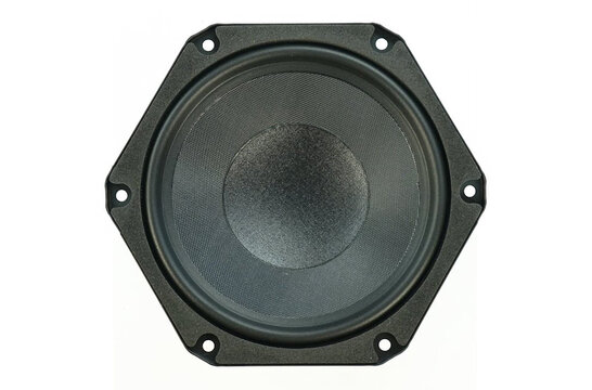 6FE100-8F 6" Tiefmitteltöner 8 Ohm