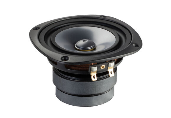 CHN-719 Full-range Woofer