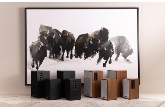 Classic B40A Powered Bookshelf Speaker Pair Wood