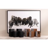 Classic B65A Powered Bookshelf Speaker Pair Wood