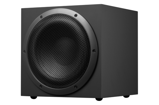 Swan SUB10G Active Subwoofer
