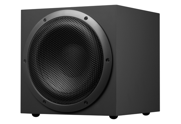 Swan SUB10G Active Subwoofer