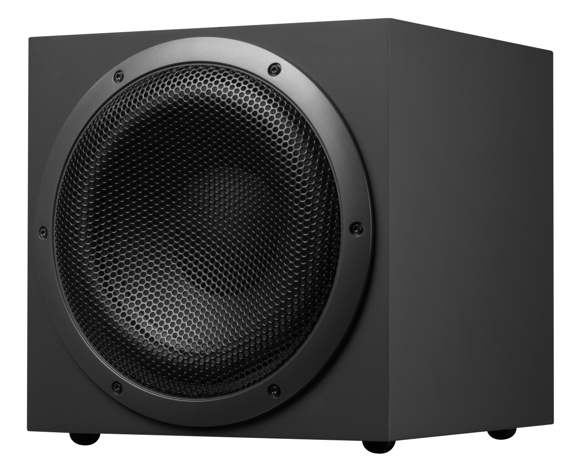 Swan SUB1100 Active Subwoofer